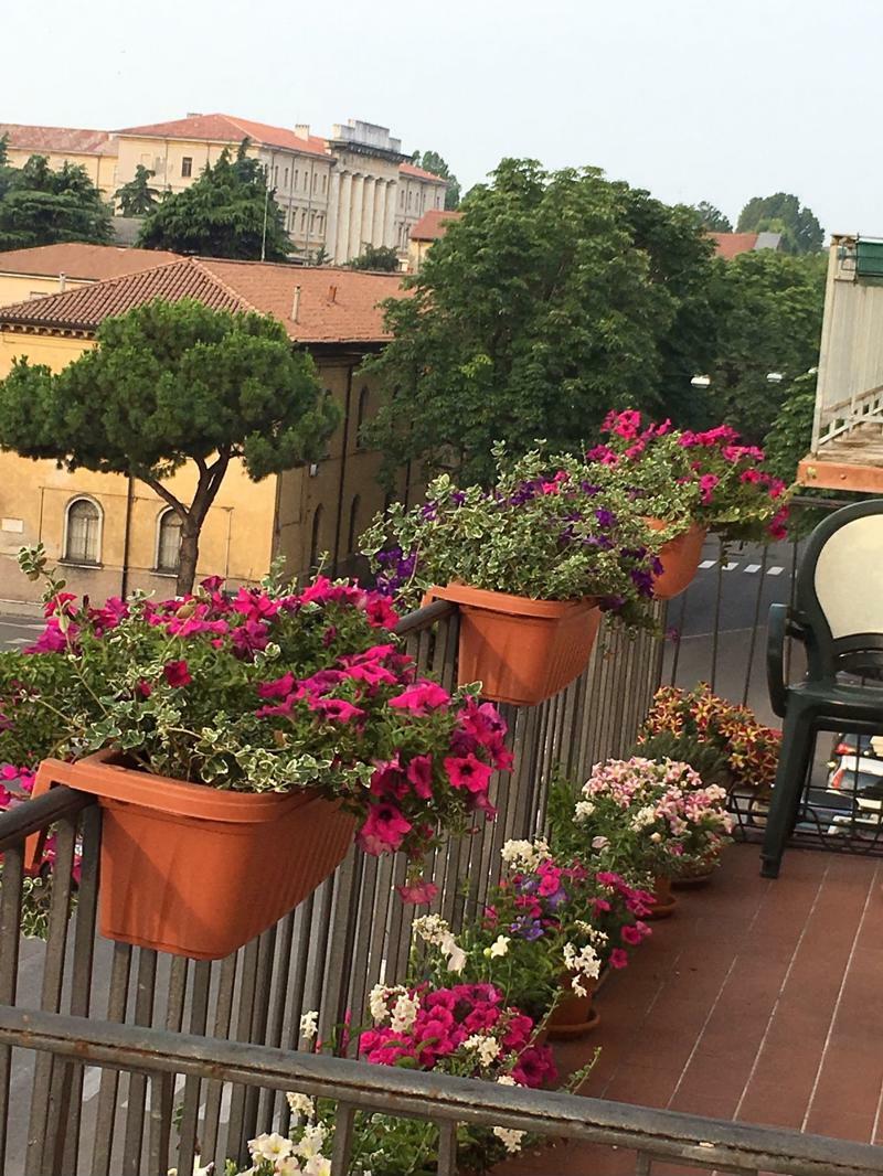 B&B Sterlizia Верона Экстерьер фото